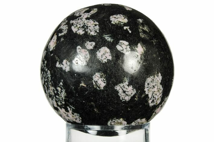 Polished Snowflake Stone Sphere - Pakistan #237783